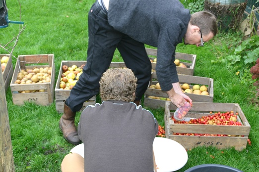 Beemster Cider