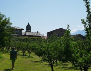 aosta-valley-ciders
